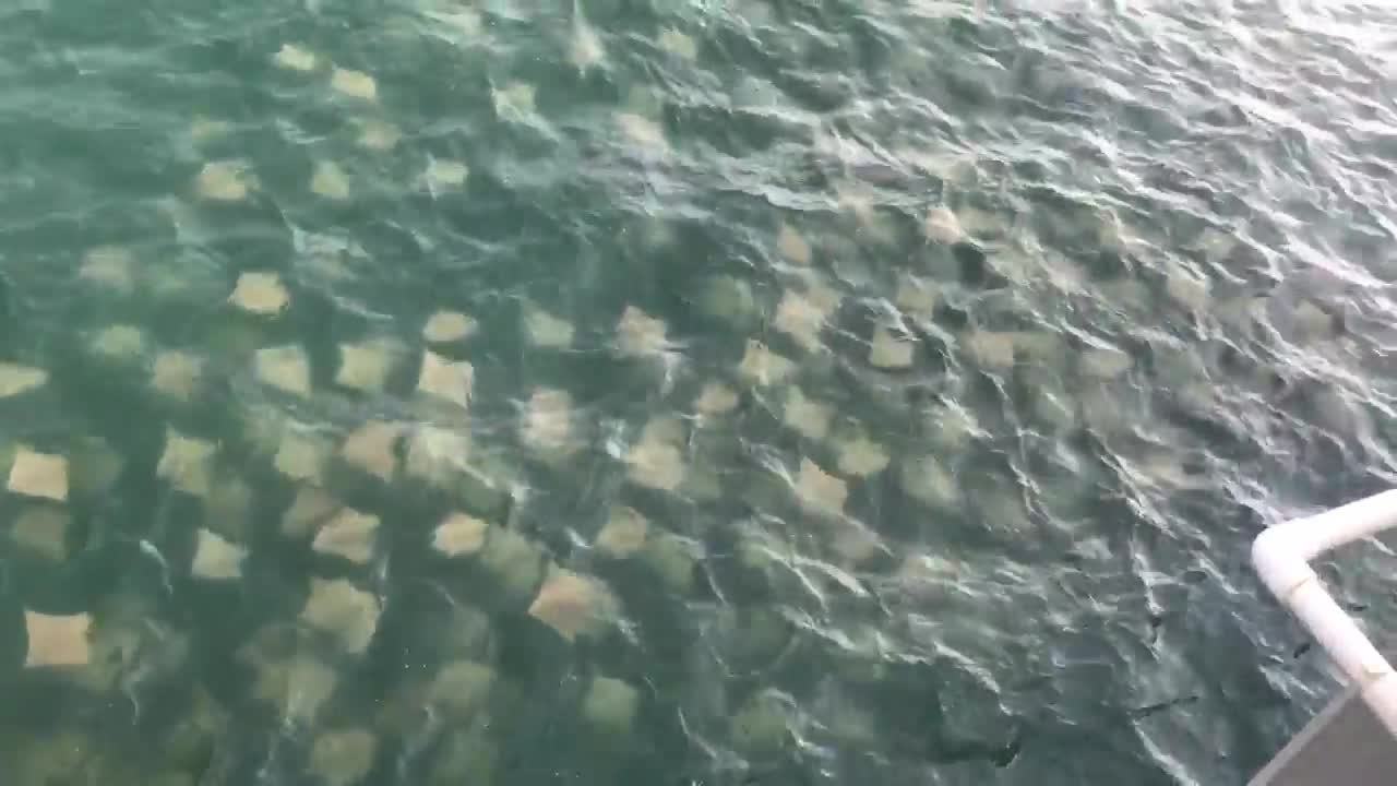 So Many Rays