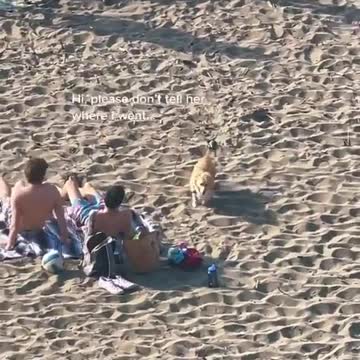 On the beach by the sea