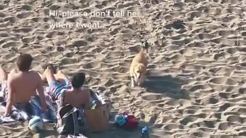 On the beach by the sea