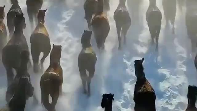 Here they come...Buckle Up while they resolve this for you.