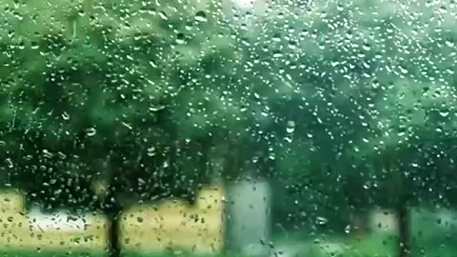 8 Hours of Relaxing Sounds of Rain Falling on a Roof! 🌧 ☔️