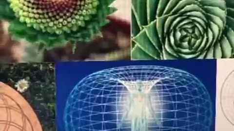 Toroidal field explained - like what we have on earth