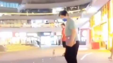 Dog skating with owner full enjoy dog skating