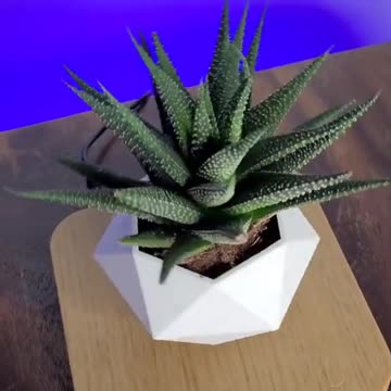 FLOWER POT LEVITATE
