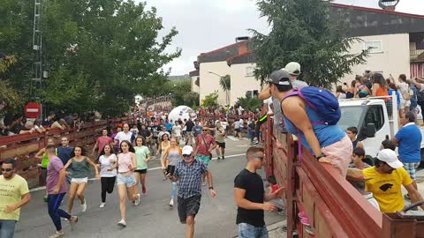 Man Severely Injured by Giant Ball in Spain