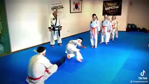 Hapkido