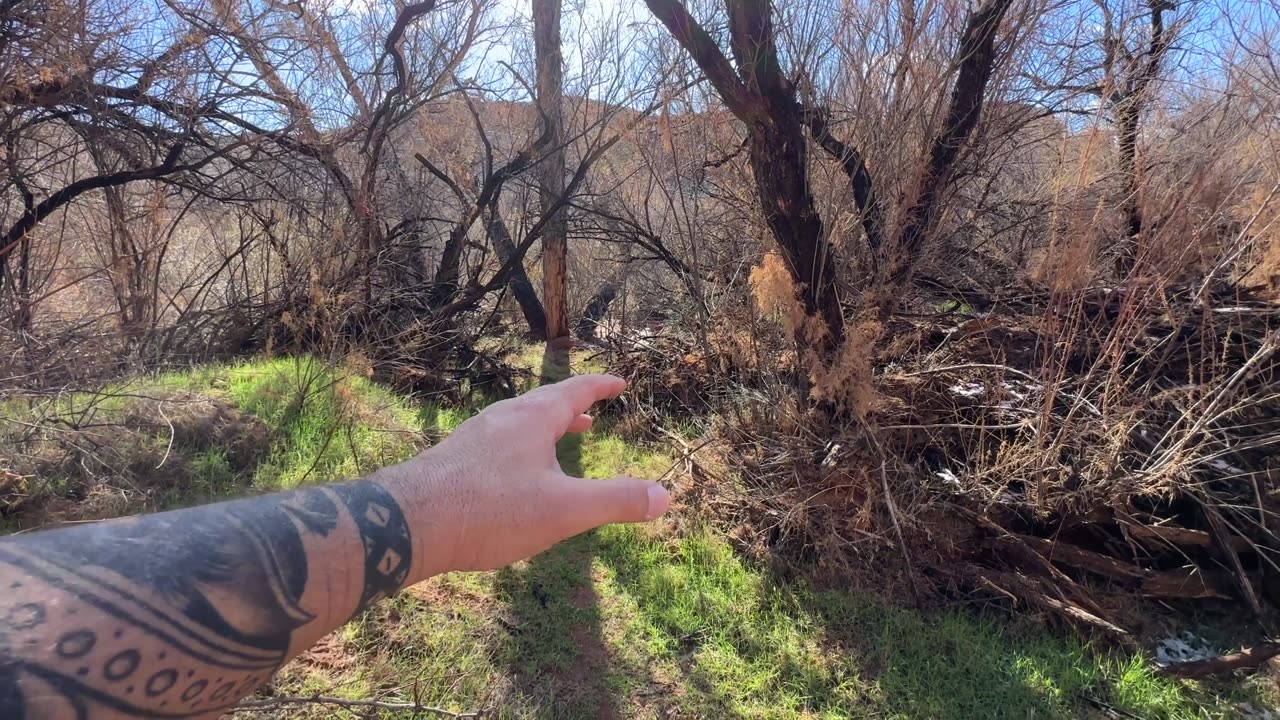 Exploring Deeper Into the GIANT Serpent Canyon in Search of Ancient Petroglyphs | Carl Crusher