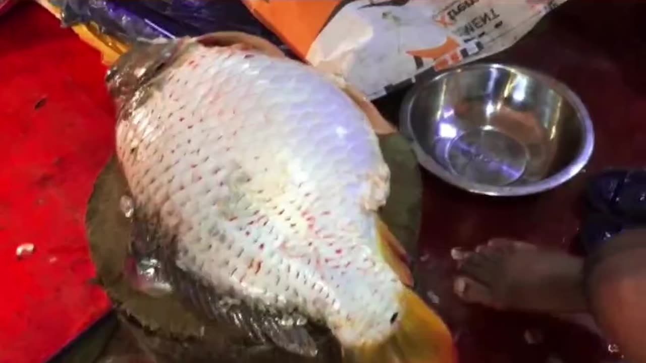 How to cut carp fish with eggs