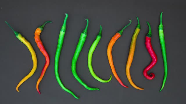 Chili - For your video editing