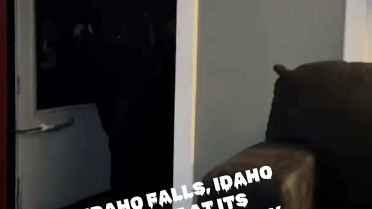 Idaho Falls, Idaho police at it's finest. Against my 4th Amendment