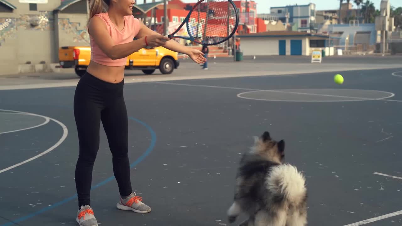 Woman Playing with a Dog