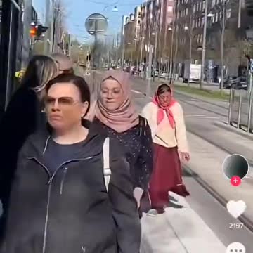 Say What?? Pee fights???