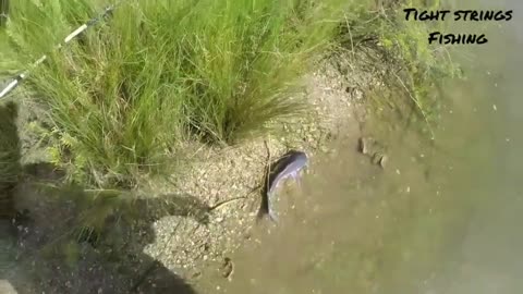 Fish Doesn't Want to Leave New Friend