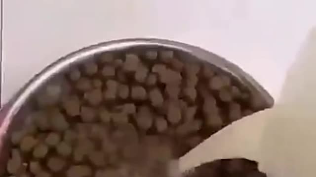 I'm hungry