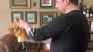 "Lockdown Live" how to cut a Pixie