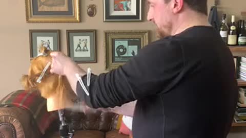 "Lockdown Live" how to cut a Pixie