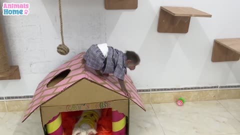 Baby monkey playing with puppy