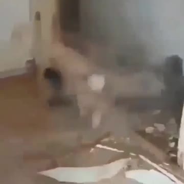 Viral video today short 33funny