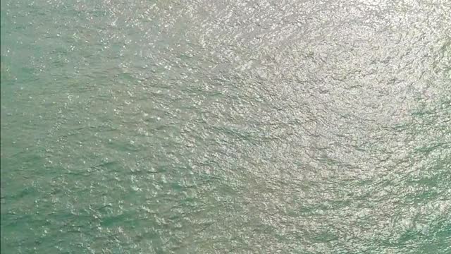 shark attacks