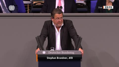 Stephan Brandner Rede vom 12.05.2022 - Transparente Arbeitsbedingungen in der EU