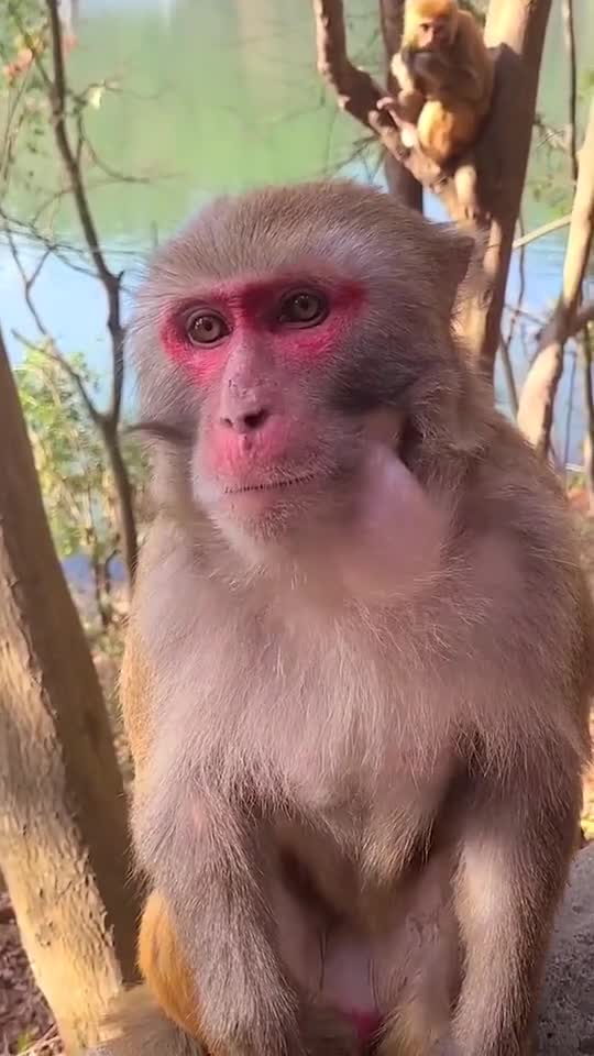 Because they are afraid