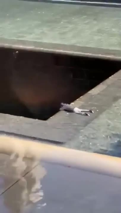 Man Jumps in 9/11 Memorial: Gets Blood Everywhere