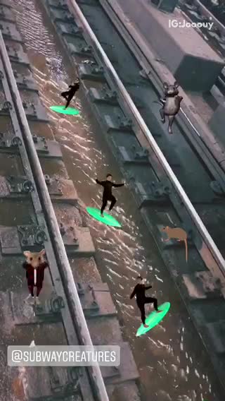 Water on subway rail tracks rat surfer emojis