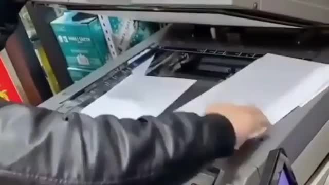 Cat On Printer