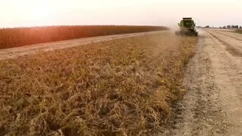 Mesin Traktor | Sangat Cepat !!! Cara Panen Dengan Mesin Untuk Mempercepat Prkerjaan