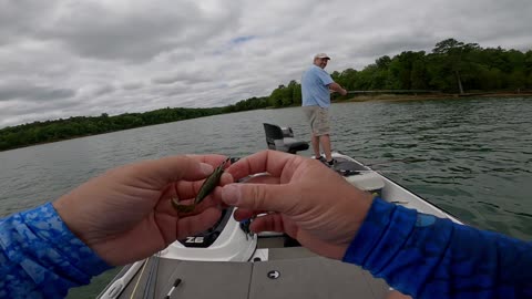 Lake Russell Post Spawn Bassin