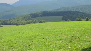 Frank loyd Wright kentuck knob view