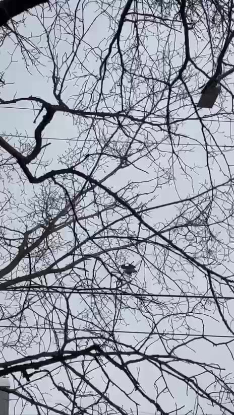 🚨 Hello, Belgorod 🇺🇦🦅🚀