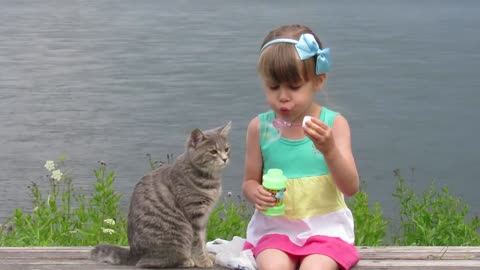 Lost cat meets her owner again, see how she reacts .