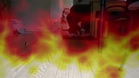 THE PUPPY FROM HELL