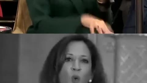 Flip Flop Kamala aka Liar