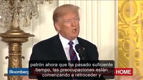 Q - El plan para salvar el mundo