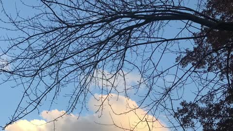 Dangerous Friendship