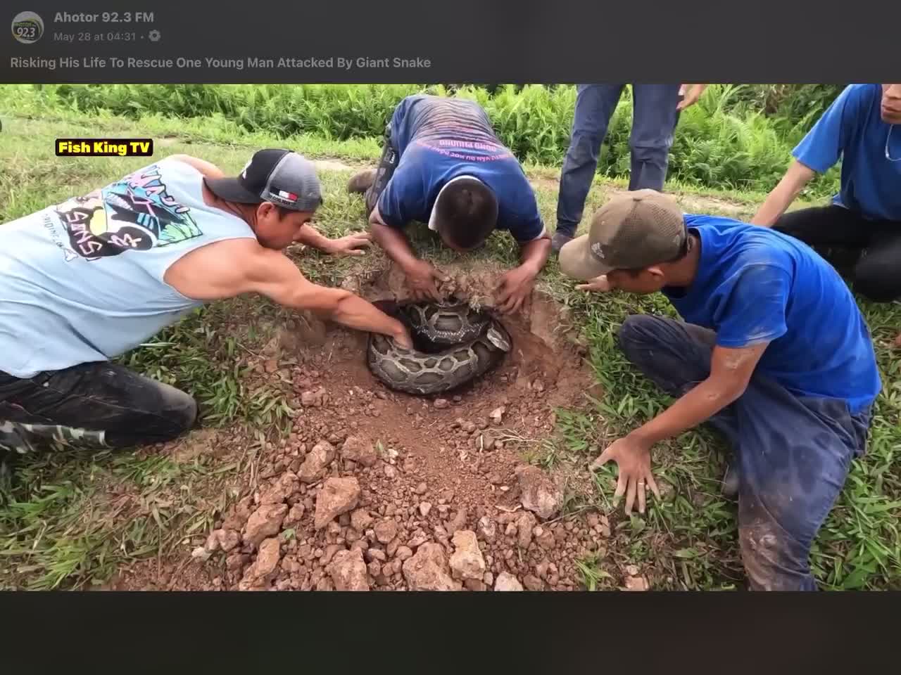 Remember The Woman and The Snake?