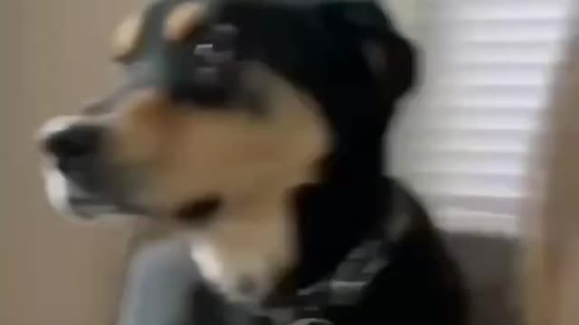 THINGS YOU SHOULD HAVE BEFORE YOU’RE 30