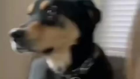 THINGS YOU SHOULD HAVE BEFORE YOU’RE 30