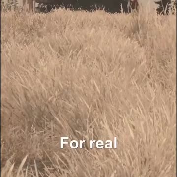 How To Escape A Robbery In DayZ