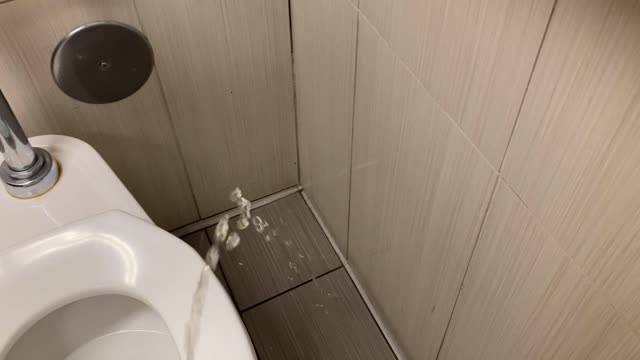 corner urination