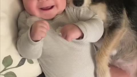 Little Dog Cuddling With Baby as Mom Plays With It