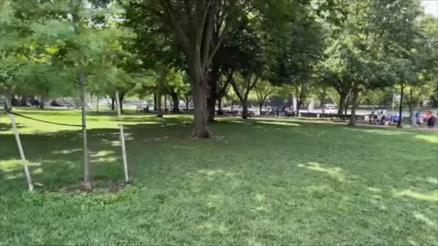 Lightning Strikes DC Aug 4 and 5 followup