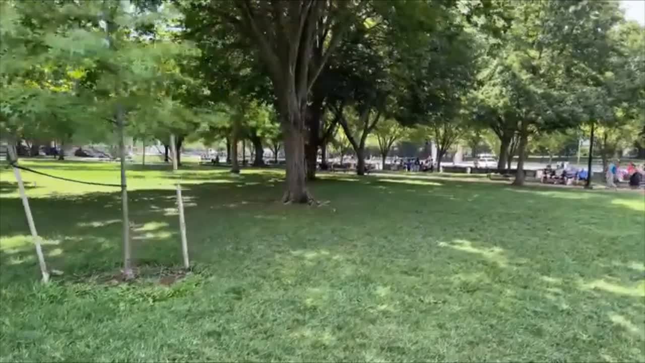 Lightning Strikes DC Aug 4 and 5 followup