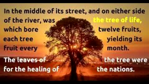 What is Freedom of Religion?