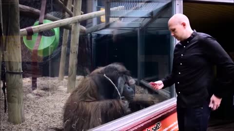 Monkeys react to magic in Zoo.see what they do.It's Casper.