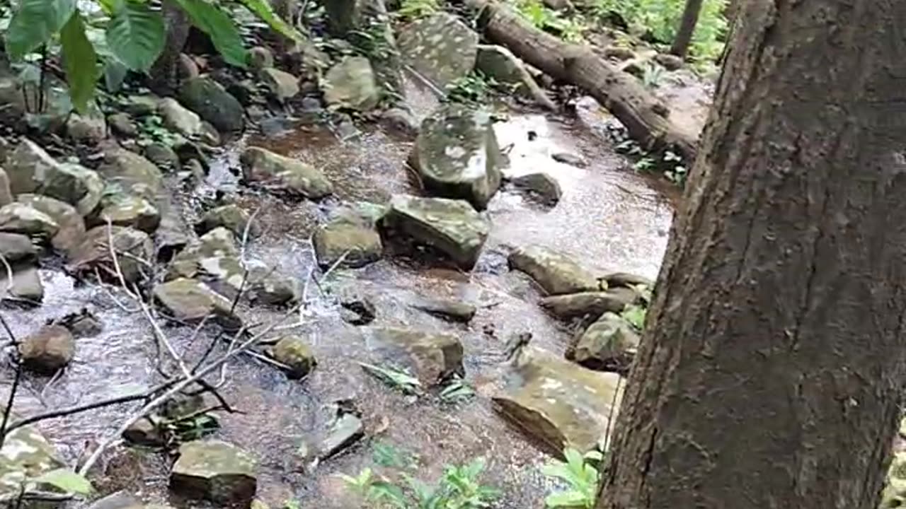 Smallest waterfall in jungle