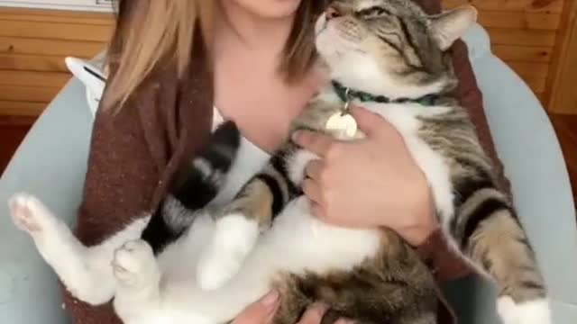 Mom playing with her cute cat