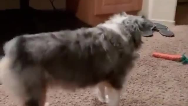 WHY DOESN’T HE STOP))№9